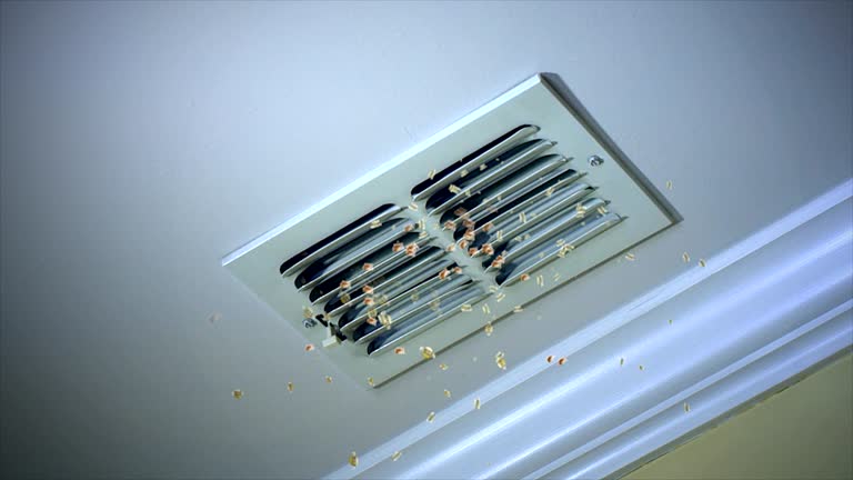 Best Affordable Air Duct Cleaning  in Meadowood, PA